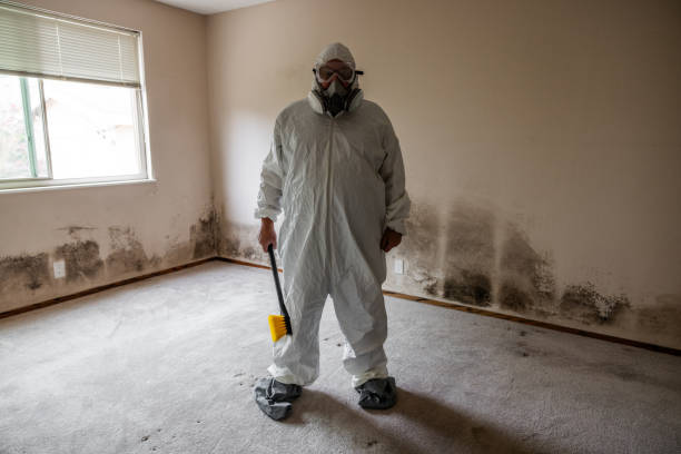 Best Fast Mold Removal  in Richmond, UT